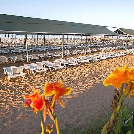 Hotel Palm World & 4*