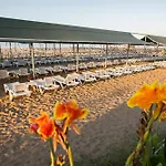 Palm World & Side